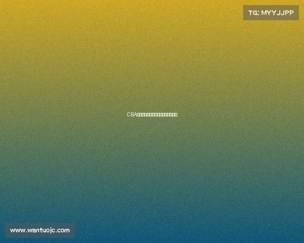 CBA总决赛最佳赛事交通保障作品奖揭晓